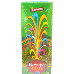 Flower Pot Ashoka